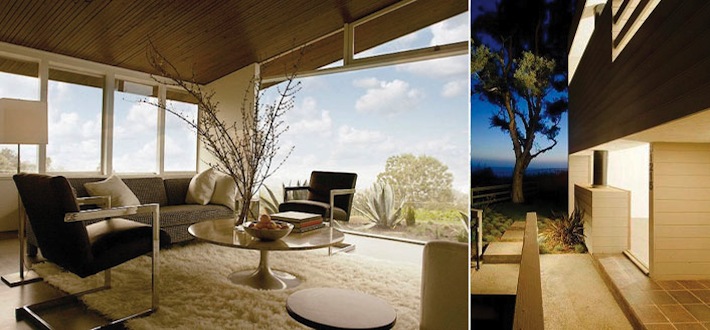 opening image collage